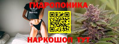 скорость Пушкино