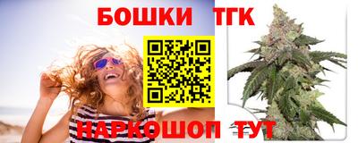 молекула духа Пугачёв